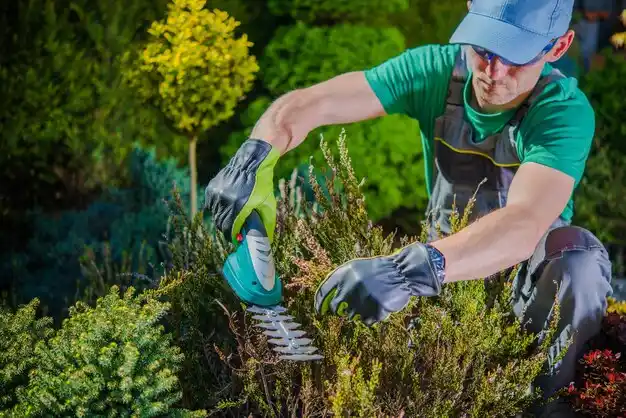 landscaping services East Sandwich